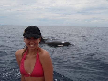 Orca Whales Kimbe Bay 25Apr08 (21) 2.jpg